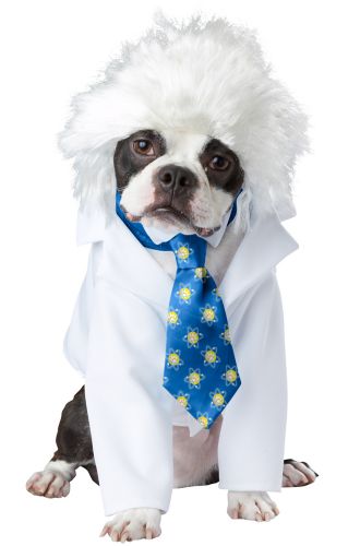 Al-Bark Einstein Pet Costume