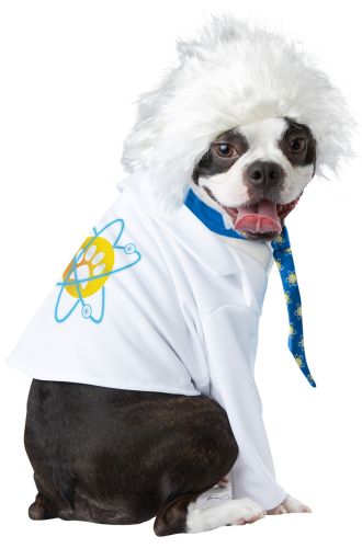 Al-Bark Einstein Pet Costume