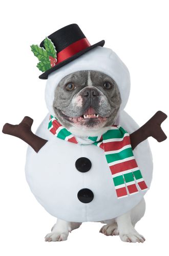 Winter Snowman Pet Costume
