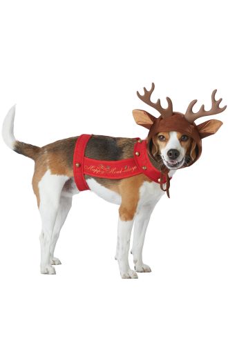 Reindeer Pet Costume