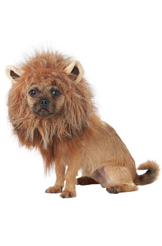 King of the Jungle Pet Costume