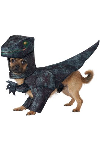 Pupasaurus T-Rex Pet Costume