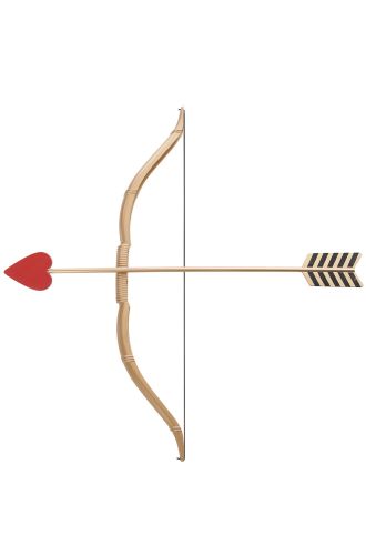 Mini Bow and Arrow Set