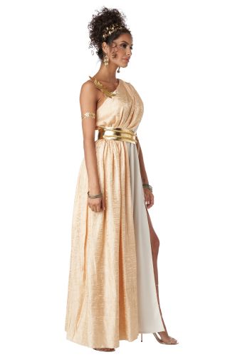 Golden Goddess Adult Costume