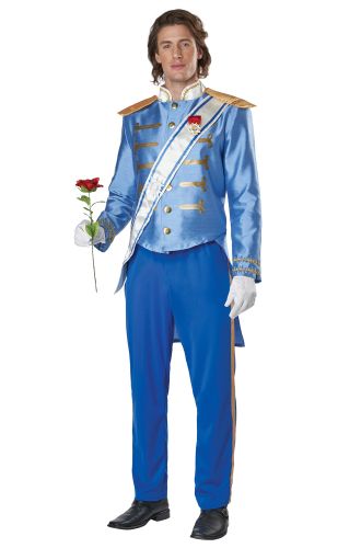 Storybook Prince Charming Adult Costume
