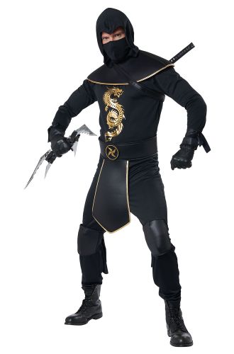 Elite Assassin Adult Costume