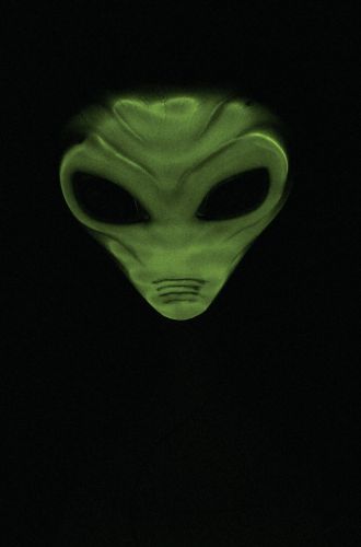Visitor Mask (Green)
