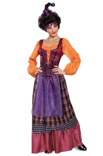 Mary Deluxe Adult Costume