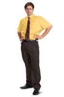 Dwight Adult Costume