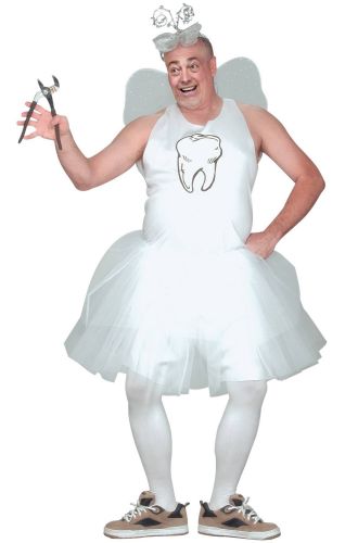 Tooth Fairy Plus Size Costume
