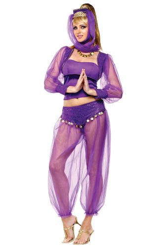 Dreamy Genie Adult Costume
