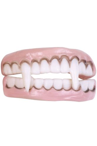 Vampire Character Teeth Accessory