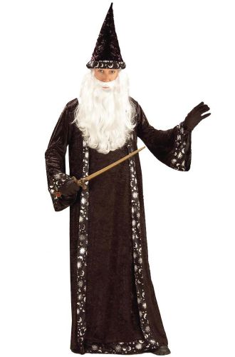 Oh Mr. Wizard Adult Costume