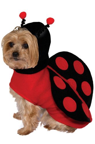 Lady Bug Doggie Pet Costume (Small)