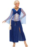 Medieval Sapphire Dress Adult Costume