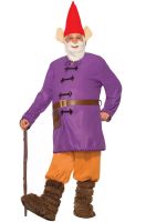 Garden Gnome Adult Costume