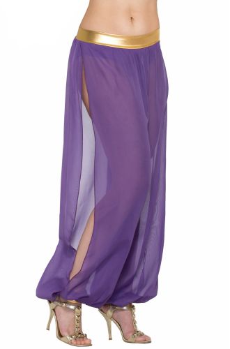 Belly Dancer Harem Pants Adult Costume (Purple)