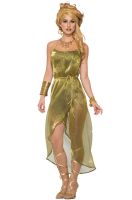 Gold Toga Dress Adult Costume