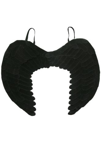 23-Inch Non-Feathered Wings (Black)