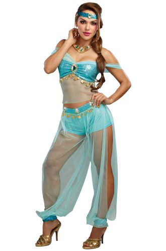 Harem Princess Adult Costume