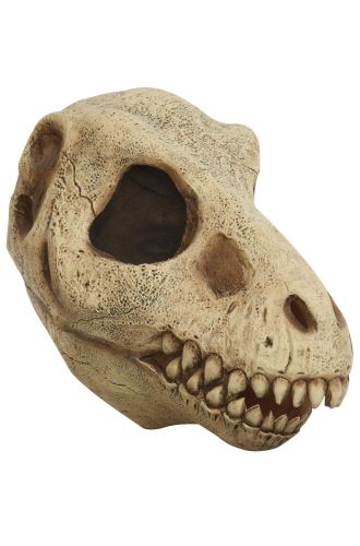 T Rex Skull Adult Mask