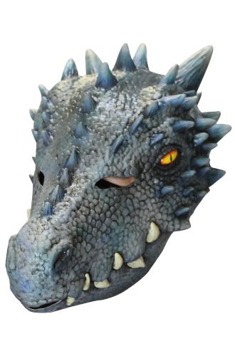 Winter Dragon Adult Mask