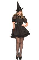 Bewitching Witch Plus Size Costume