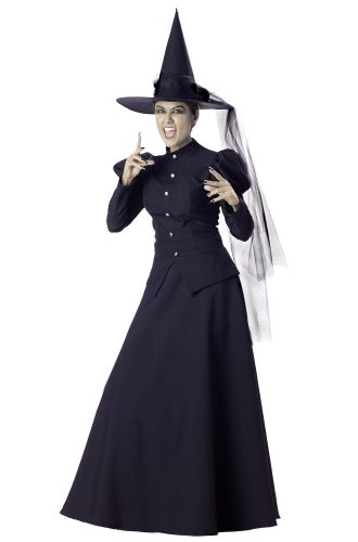 Wretched Witch Adult Costume