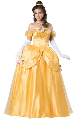 Beautiful Princess Adult Costume
