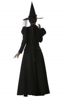 Wretched Witch Plus Size Costume
