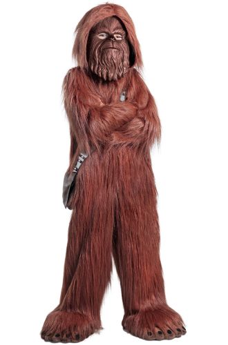 Premium Chewbacca Child Costume
