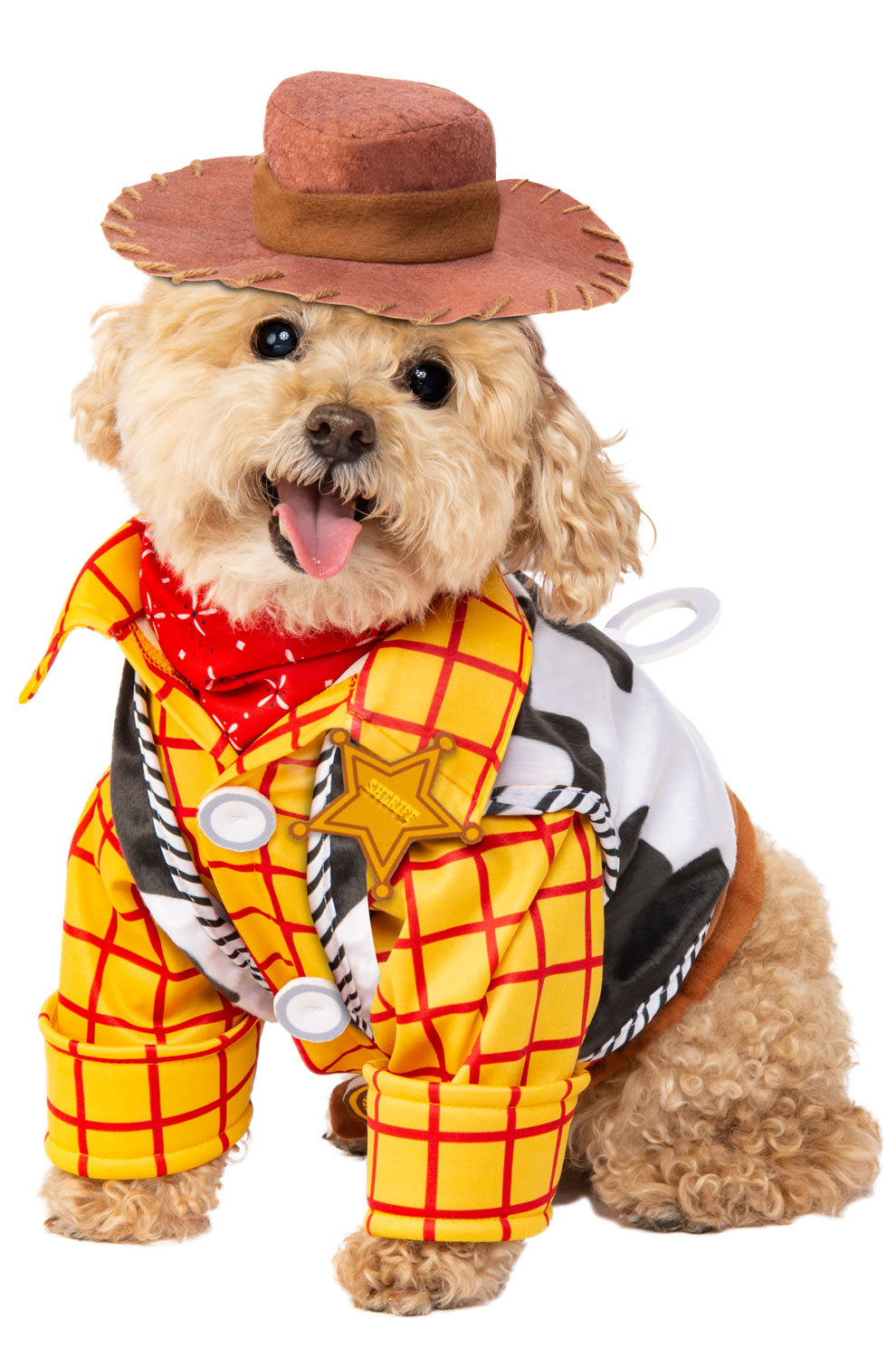 Toy Story Woody Pet Dog Cat Costume