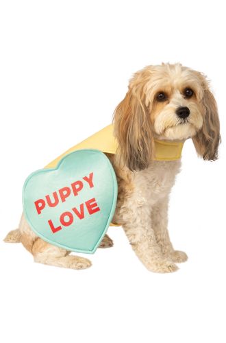 Candy Heart Pet Costume
