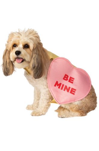 Candy Heart Pet Costume