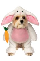 Walking Bunny Pet Costume