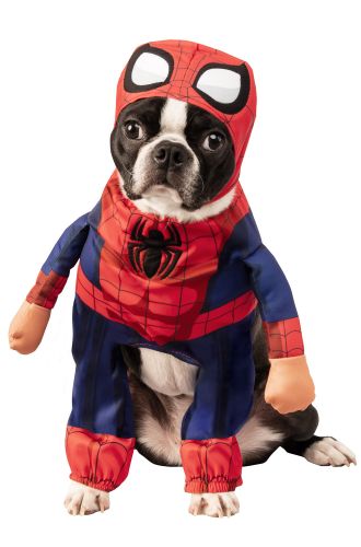 Walking Spider-Man Pet Costume