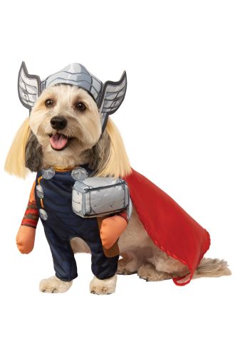 Walking Thor Pet Costume