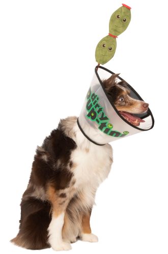 Dirty Puptini Cone Pet Costume