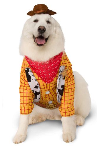 Woody Big Dog Pet Costume