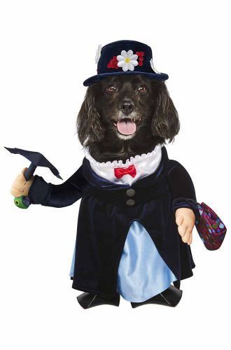 Mary Poppins Pet Costume
