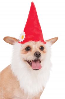 Garden Gnome Hat with Beard Pet Accessory