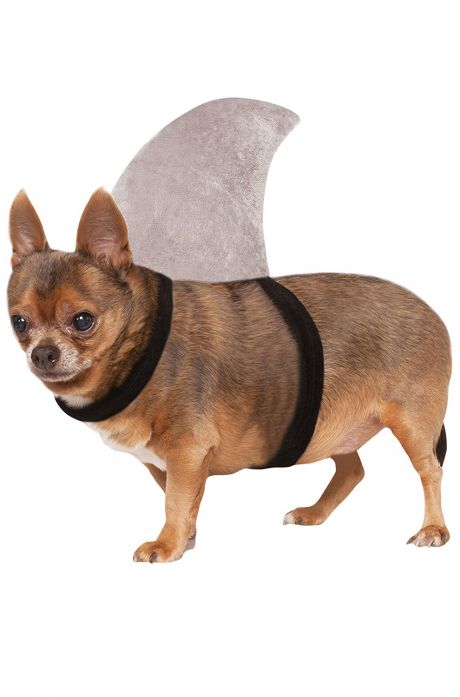 Shark Fin Pet Costume - PureCostumes.com