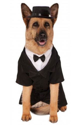 Big Dapper Dog Pet Costume