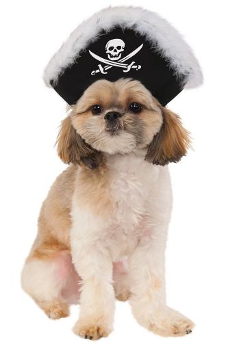 Pirate Hat Pet Accessory