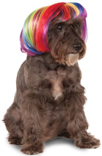 Rainbow Bob Pet Wig