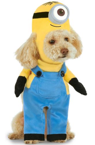 Minion Stuart Pet Costume