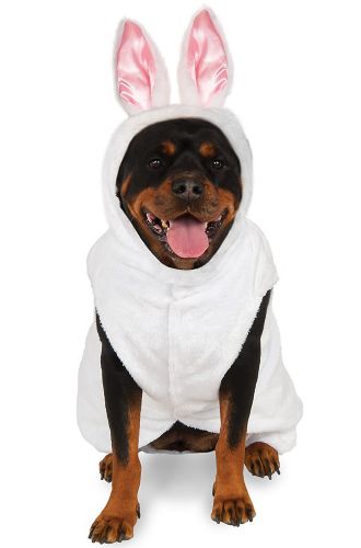 Bunny Big Dog Pet Costume