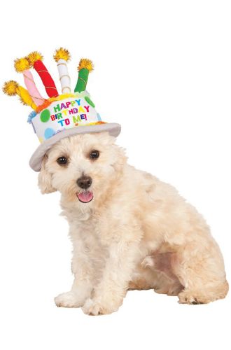 Birthday Cake Hat Pet Accessory