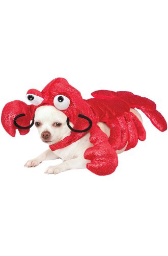 Mr. Claws Pet Costume