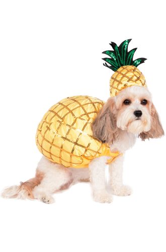 Pineapple Pet Costume